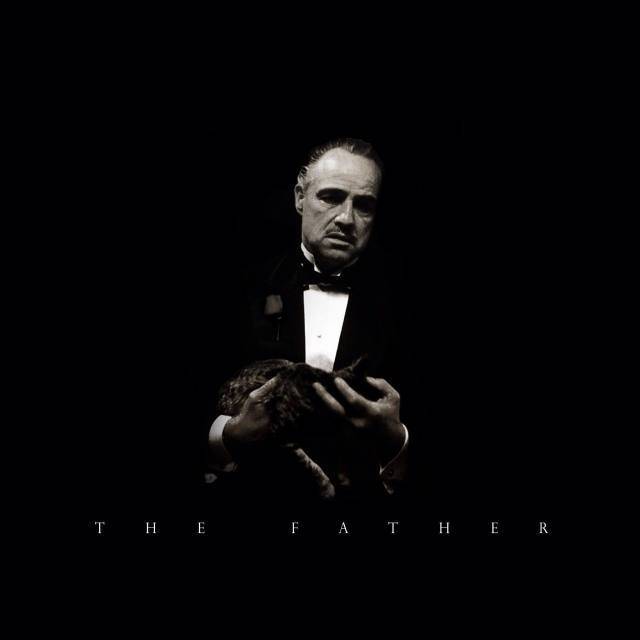 上海电影院男闺蜜