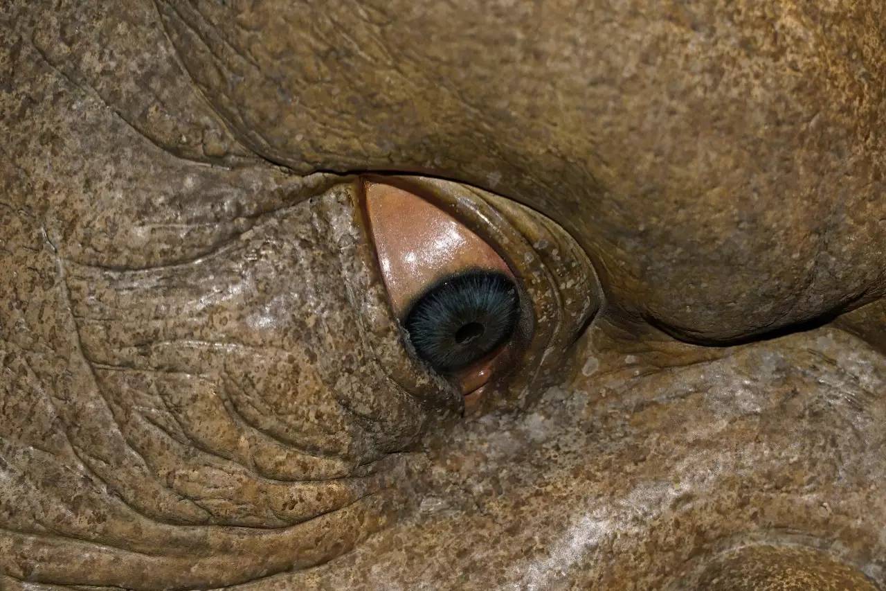 中文新版资源WWW