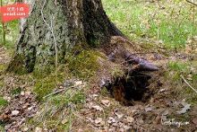 fighterr视频 我可以为您提供相关信息