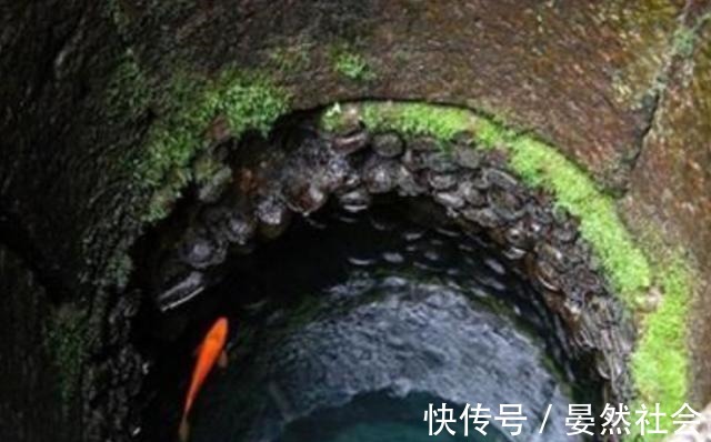 精业专 精业专可以理解为 “精于业