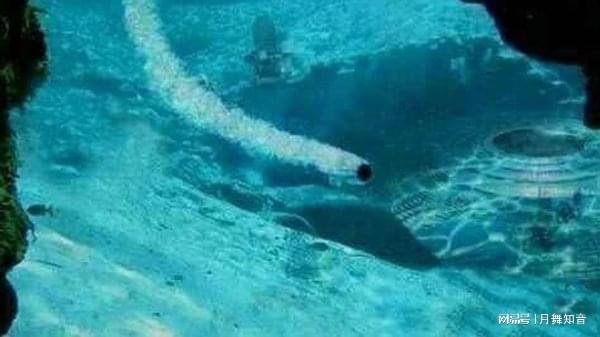 黑料网正能量不打烊 其影响力有望进一步扩大