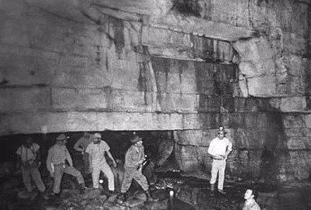 精品无码一区二区视频在线