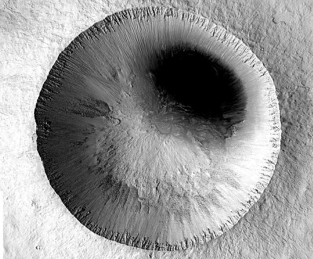 九九精品免费观看在线