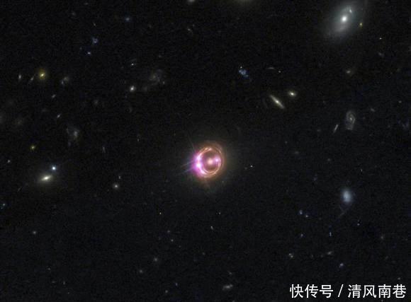 男同花侨屋 男同花侨花侨对不起