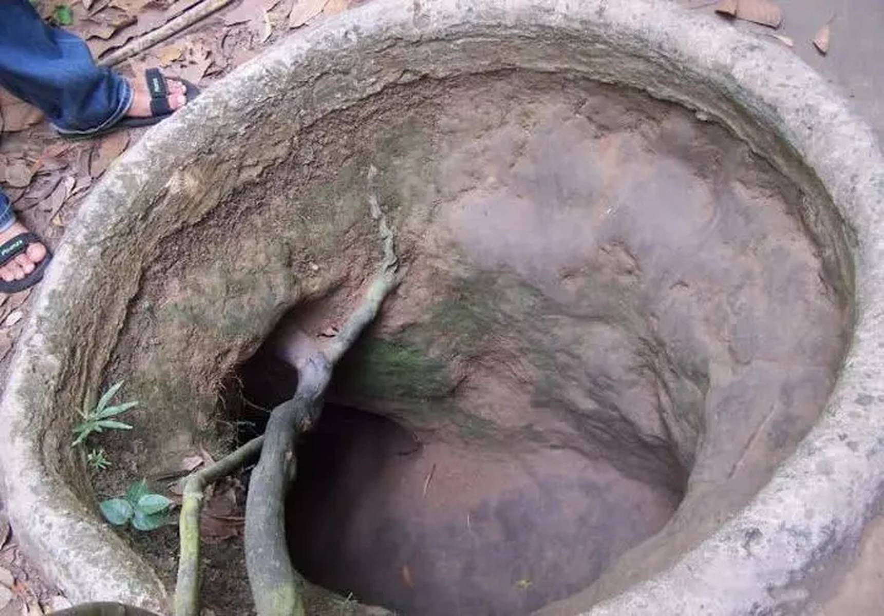 小马拉大车 男童