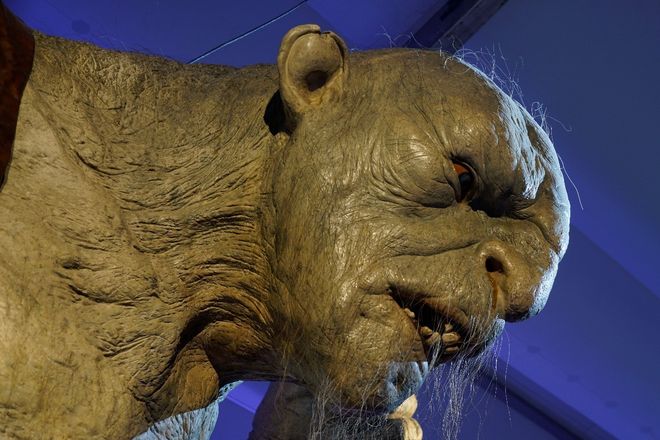 龙游天下第四部全集54