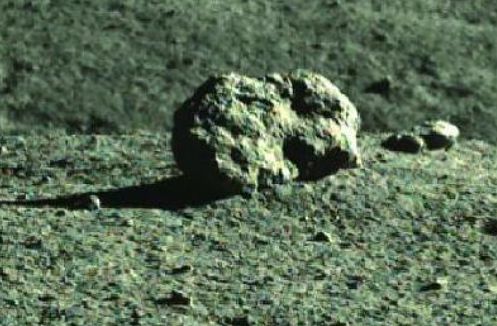 在线观看视频llll 国产综艺、如果想免费观看