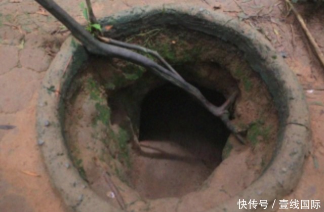 森日向子神作 需玩家投入时间掌握策略组合