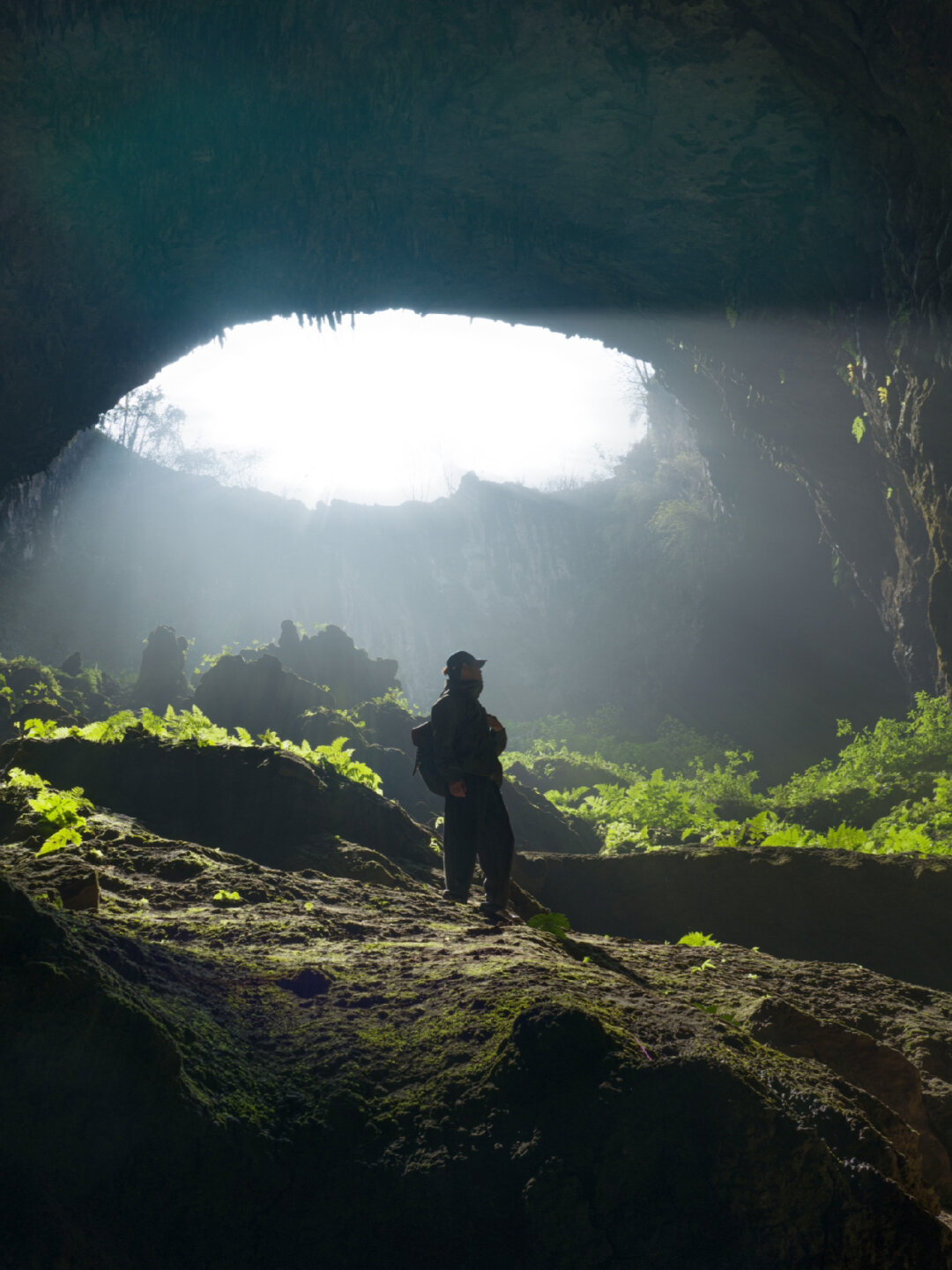 大马小车 可能就是大马小车指字面意思