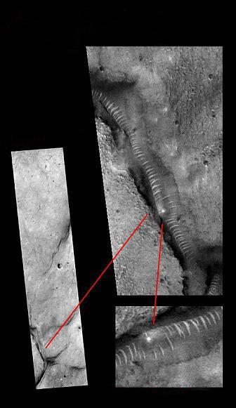 亚洲国产精品久久人人爱