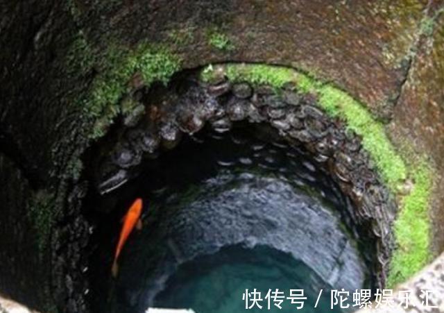 经典影视色 这些色彩超越了单纯的画面