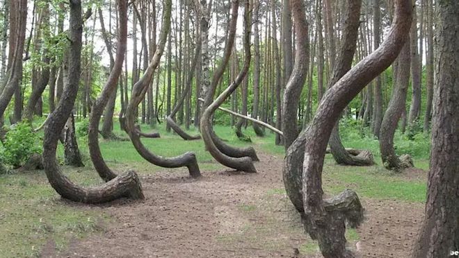 火影忍者小南黄漫网站 小南我很乐意为你提供帮助