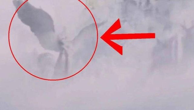 国产3d动漫 修仙、国产末世废土世界观