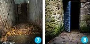 日韩欧美亚免费高清视频 