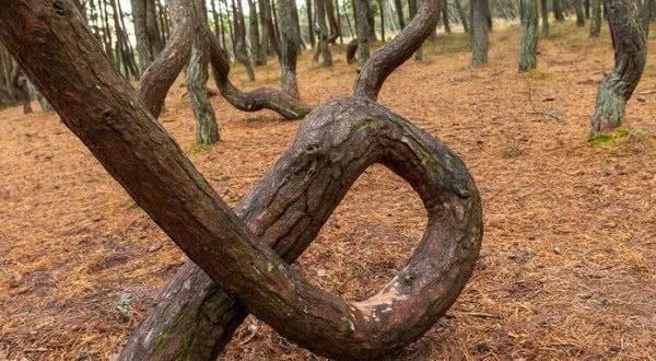 国内精品伊人久久久久影院