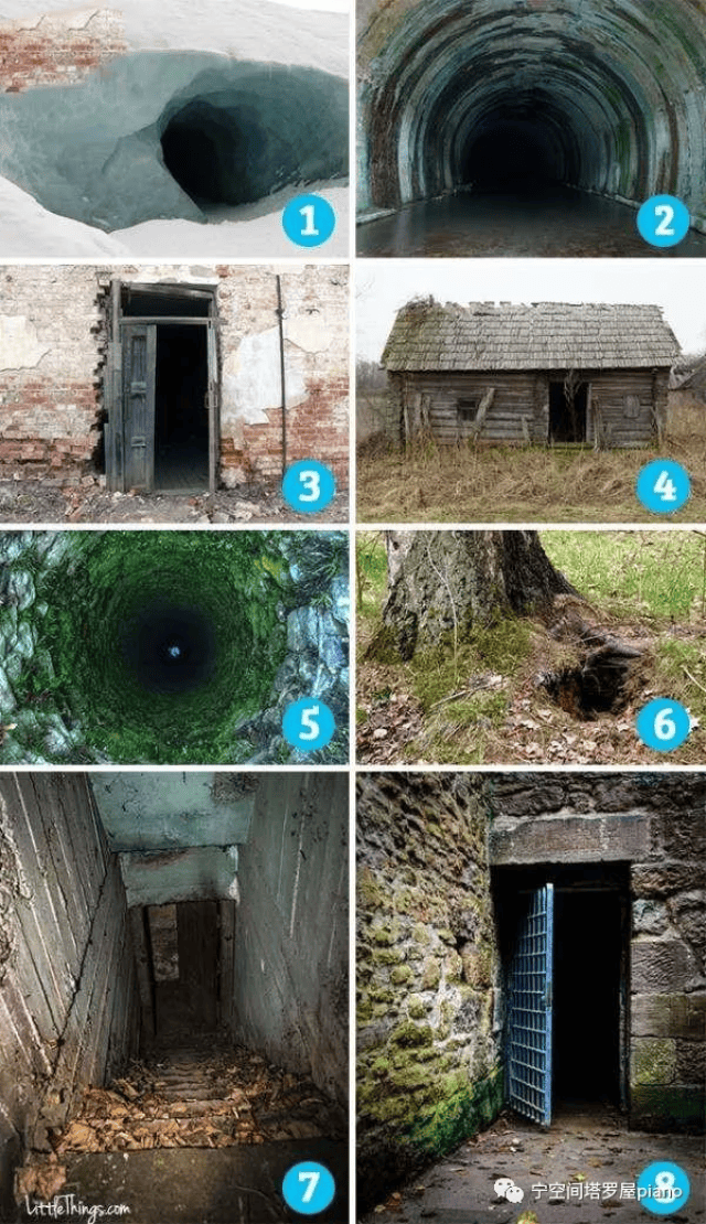 日本最新免费不卡二区