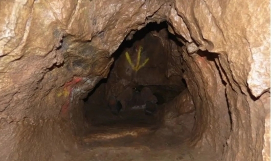 小马拉着大车的色情片