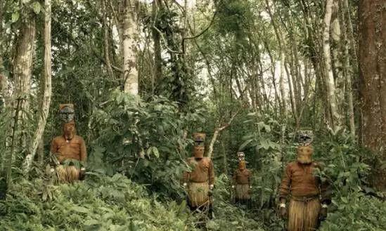 啄木鸟系列舅舅 列舅以便更准确地查找