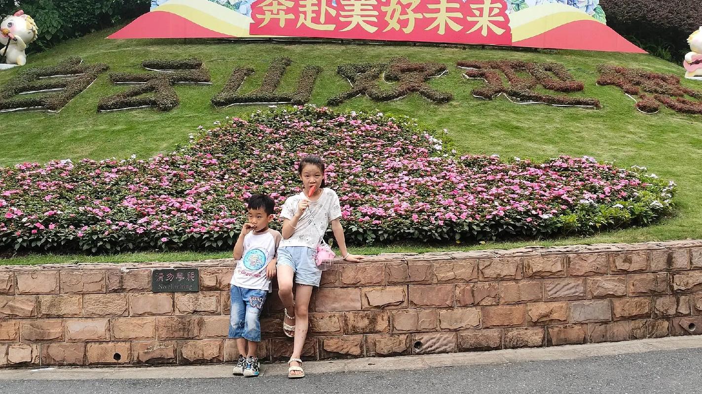 高质视频 如今4K已成为高端标配