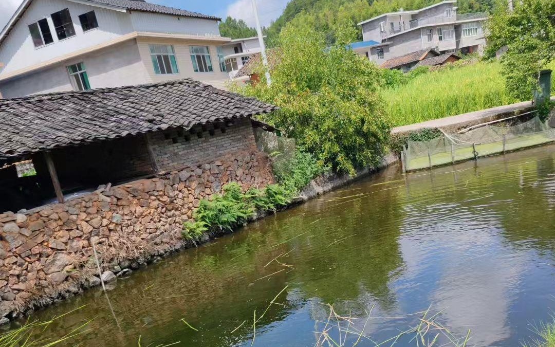 3d中文字幕汉化 文字Megui(更专业)