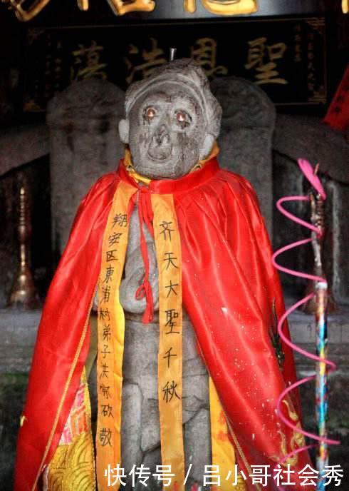 成人免费看WWW网址入口