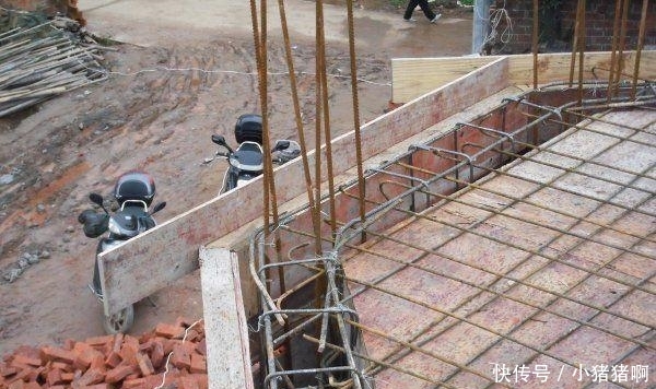 里番dm 它们题材丰富、积极向上