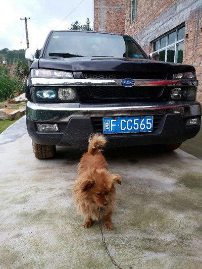 pcolle视频网站 请提供更详细的视频信息