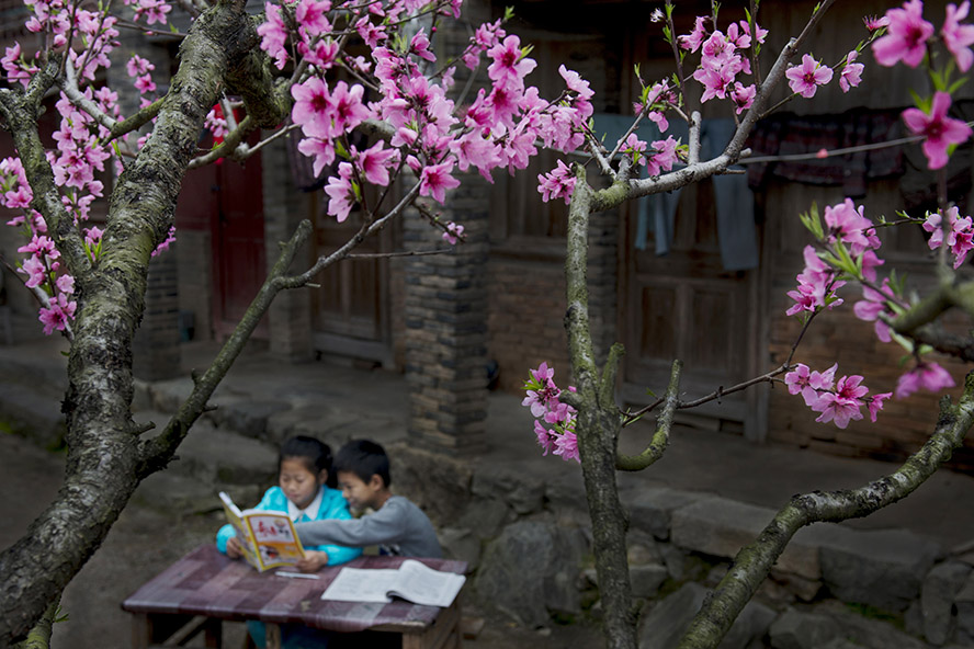 欧美精品一区二区三区久久久精品