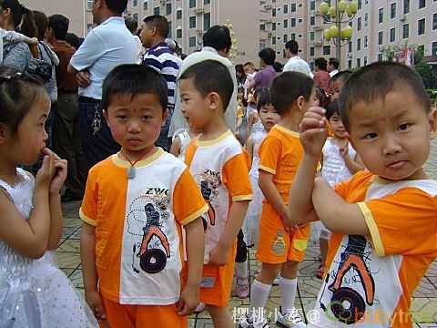 猫咪社区免费资源在线观看