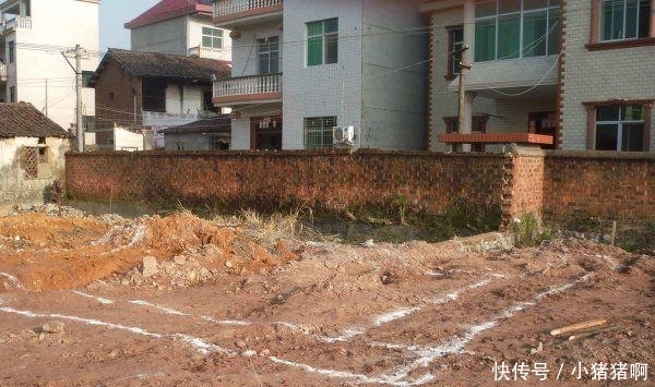 久久久久久精品免费免费wei