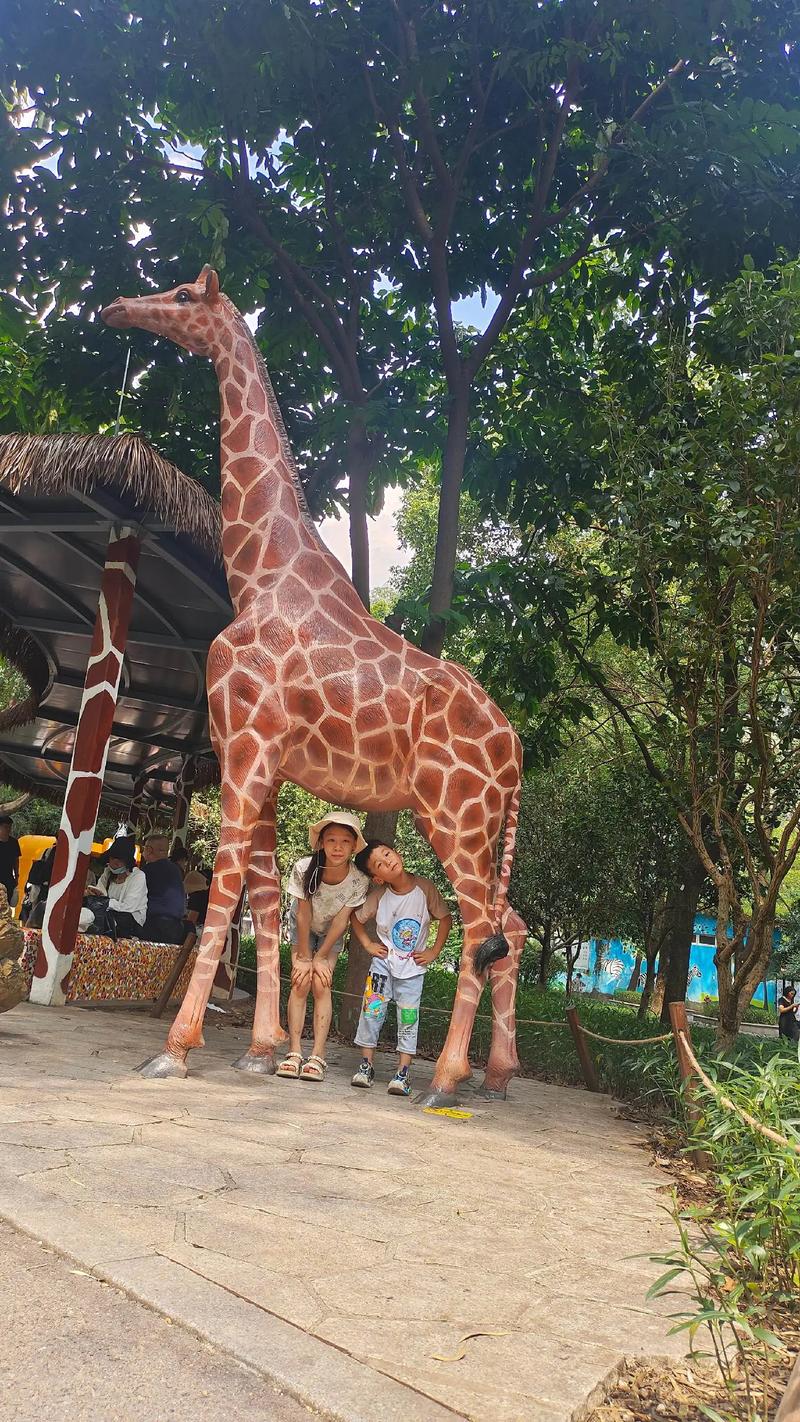 柔柔呱在线观看 “柔柔呱 直播”）搜索