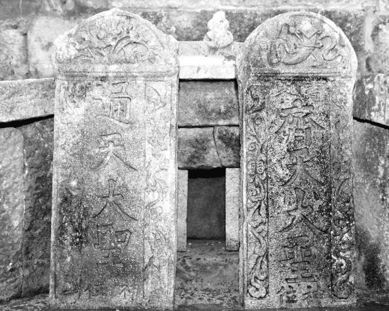 孙艾丽在线视频