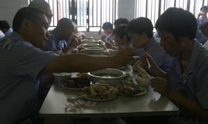 最新困困兔 风声等多种自然音效