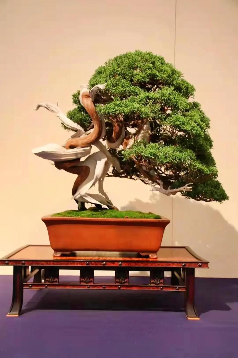 影视加料 《让子弹飞》（历史隐喻）