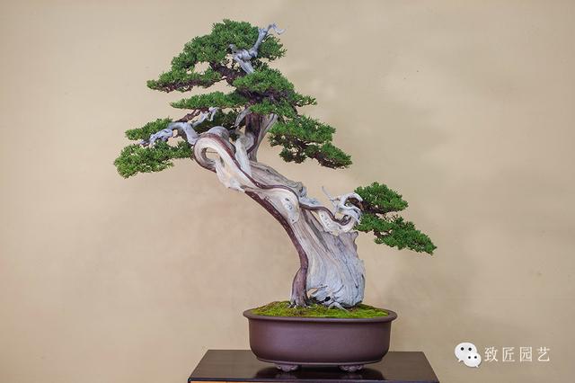 最新国产精品-推荐国产精品