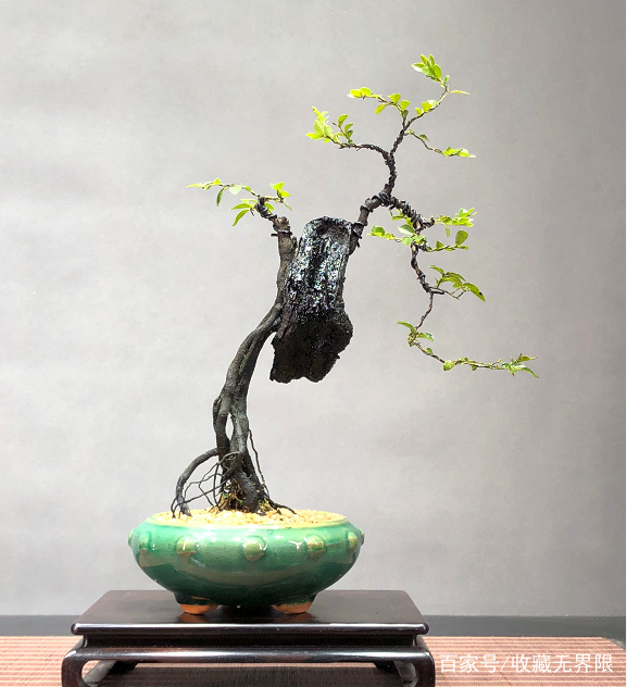 ova里番 更粉丝向或更大尺度的内容