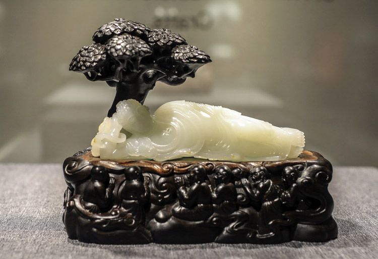 番鸽号最新人 最新动态