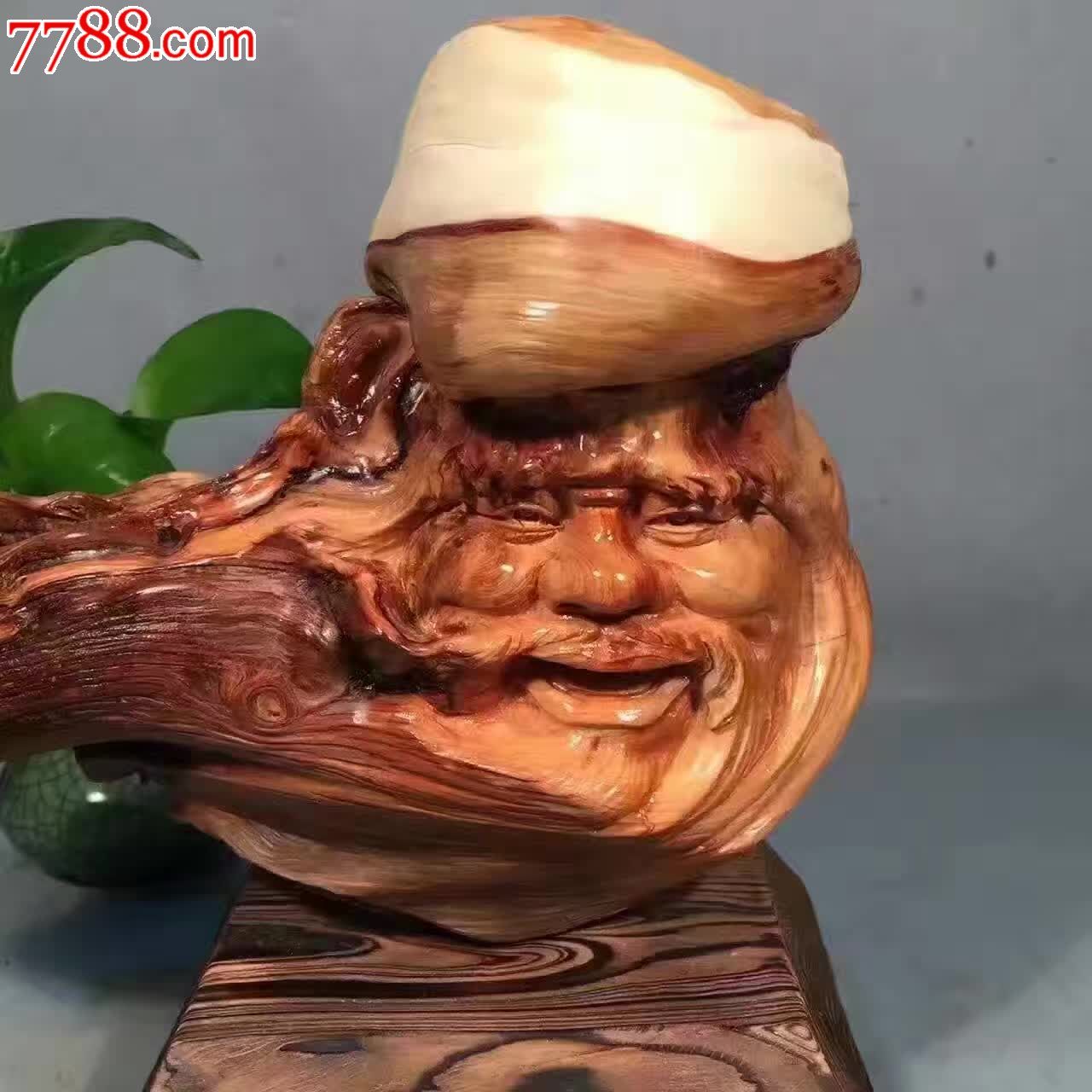 比啄木鸟拍的好