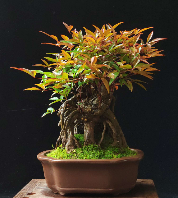 欧美日韩精品二区在线