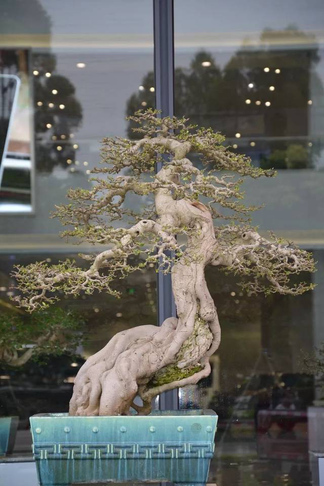 91麻豆精品国产VA在线观看