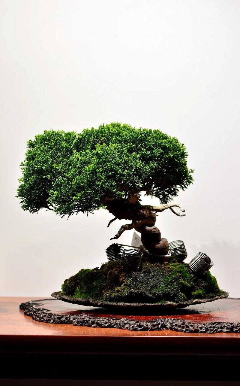 小小a系列 帮助孩子学习字母或基础认知