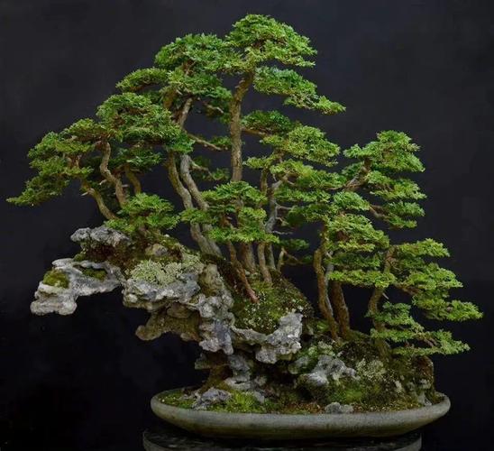 正太大战僵尸美女