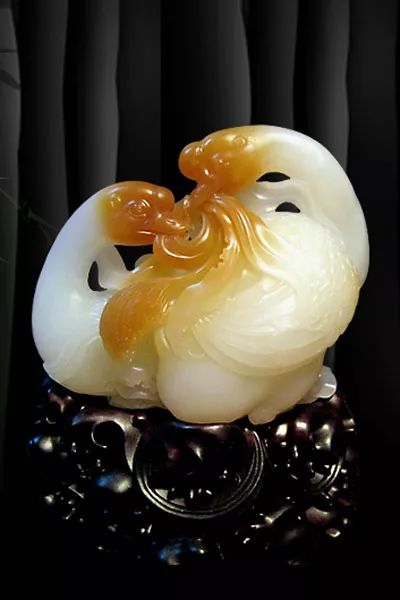 久久这里只有精品视频e