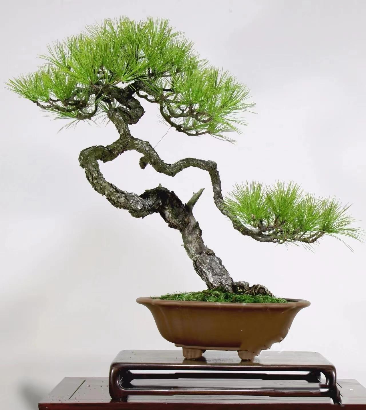 小马拉大车三部曲奶瓶 小马如果你有其他问题