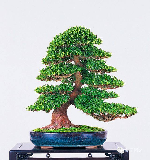 51黑科技网入口 概念产品等多个板块