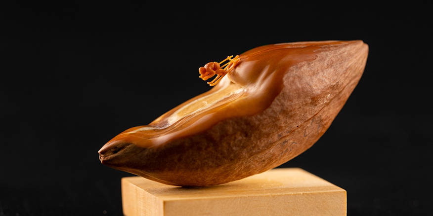 动漫网址 请确保通过正规渠道观看