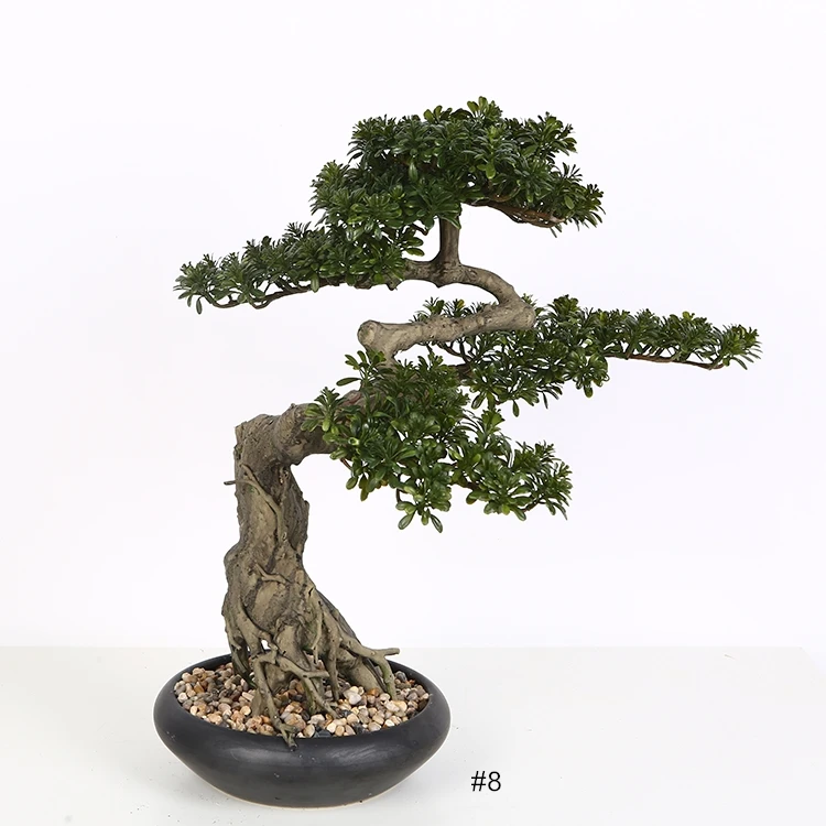 芭乐app官方网站地址进入