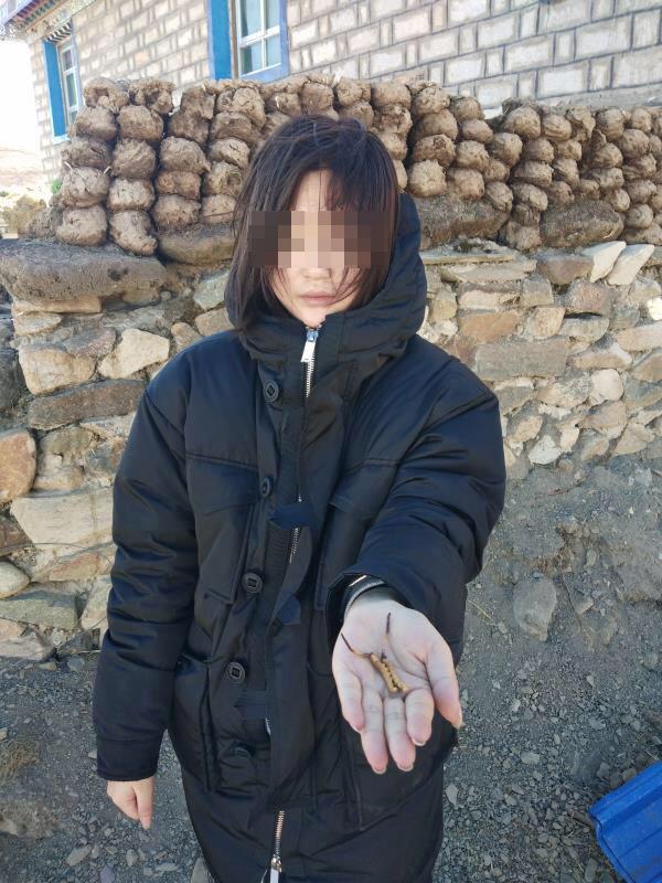 51吃瓜网今日头条 网今信息刷新速度快