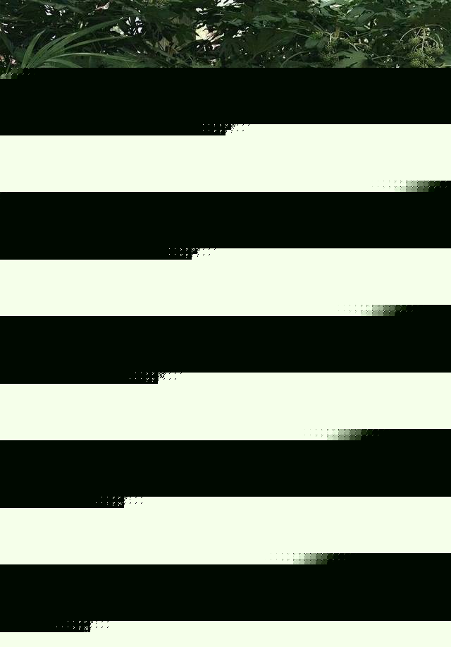 51排行 电商的排行排行榜单