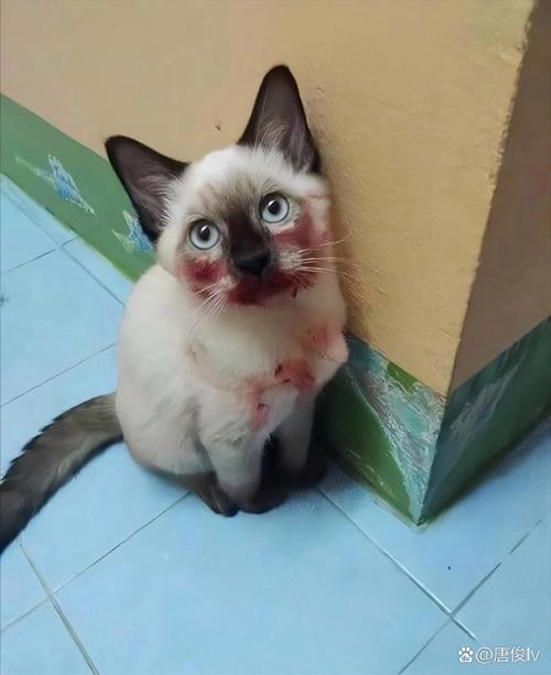 暖暖 免费 高清 日本视频免费 【暖暖】暖暖这个词